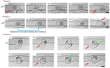 Images and raman spectra of intercalated graphite